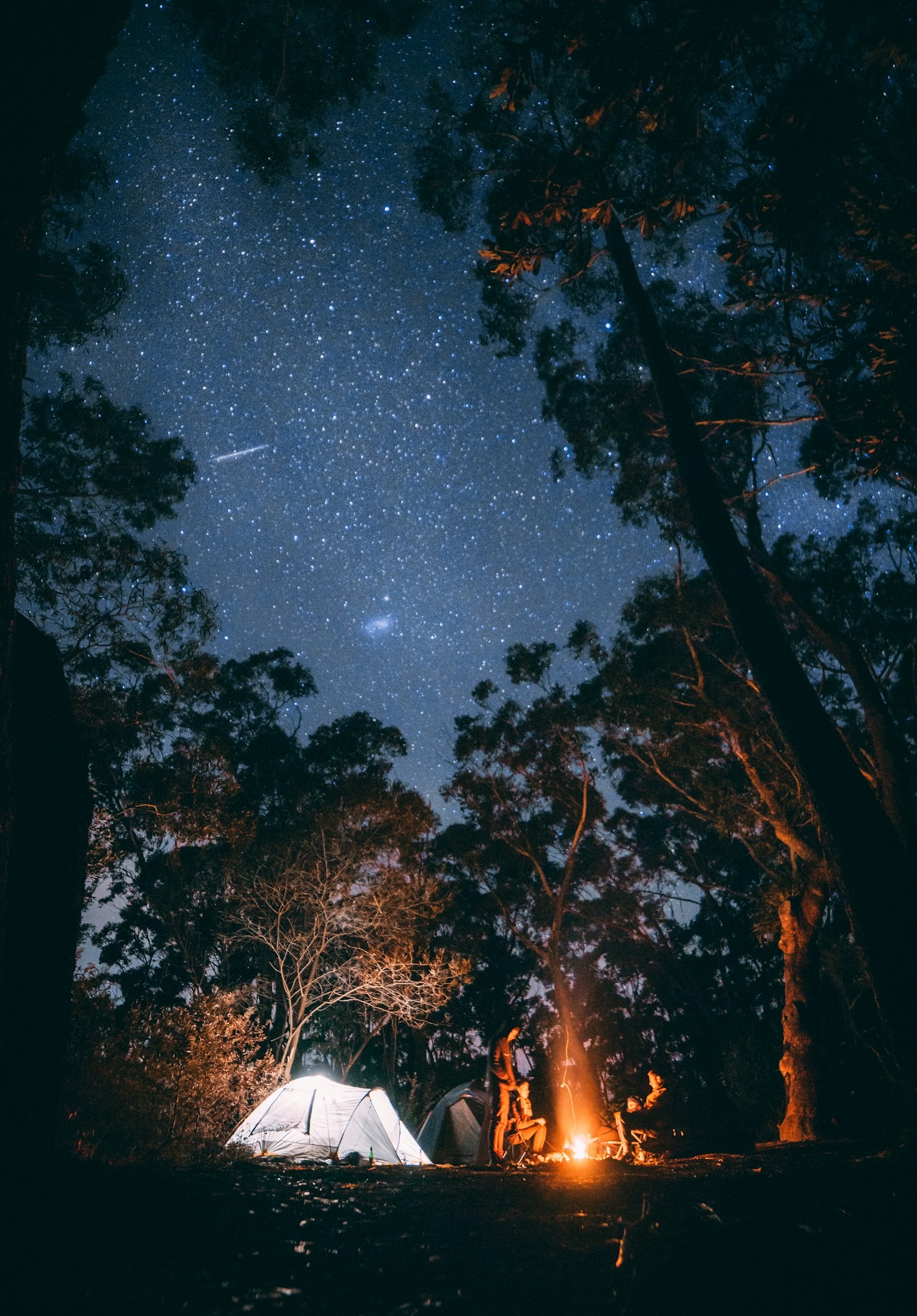Roadtrip door de ruige bergen van Nieuw-Zeeland
